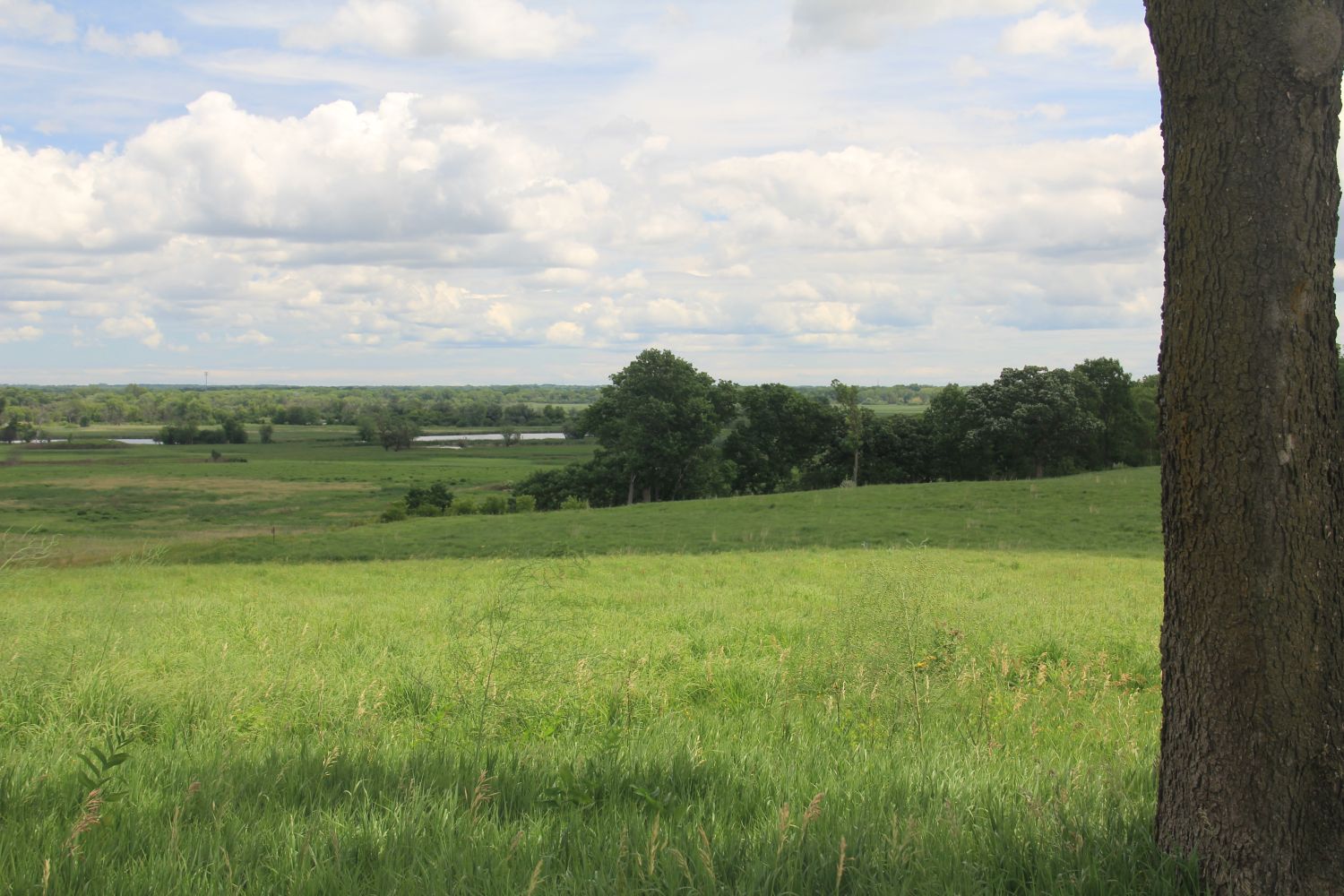 Badger Park Trail 